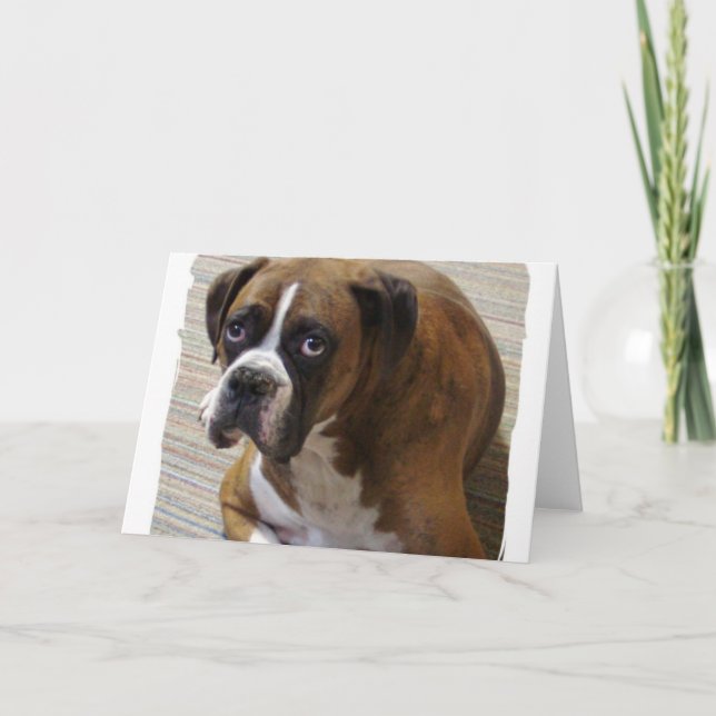 Carte de voeux Boxer Chien (Devant)