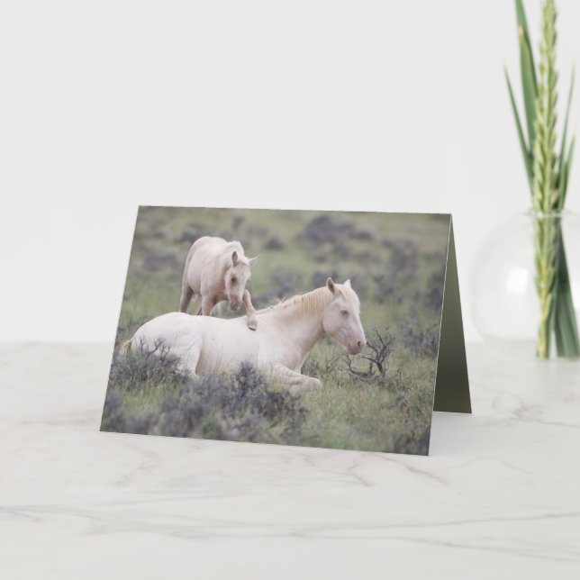 Carte de voeux Brother Wild Horse (Devant)