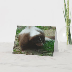 Carte de voeux Brown et blanche