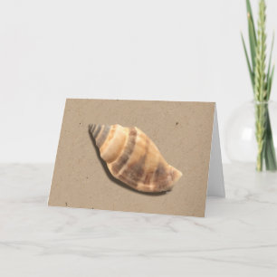 Carte de voeux Brown et Tan Striped Conch Shell