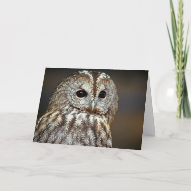 Carte de voeux Brown pour la chouette (Devant)