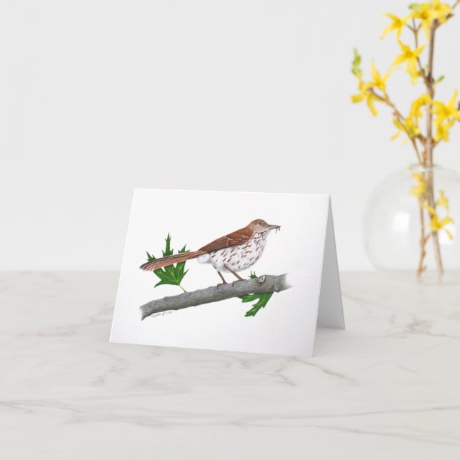 Carte de voeux Brown Thrasher (Fleur jaune)
