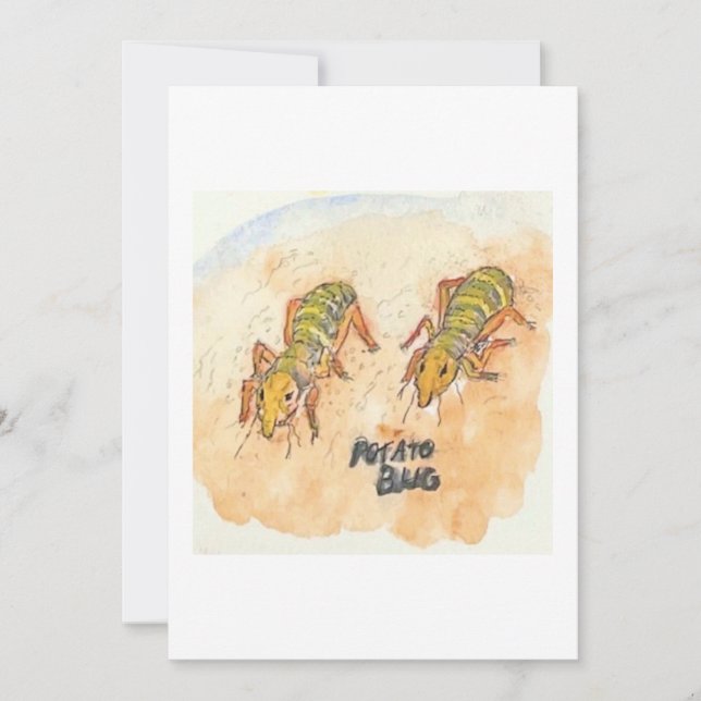 Carte de vœux Bug Patate (Devant)