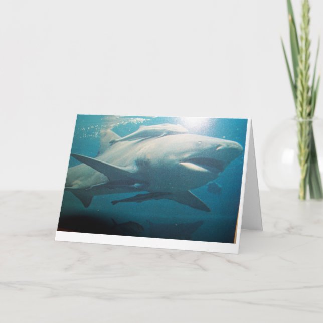 Carte de voeux Bull Shark (Devant)