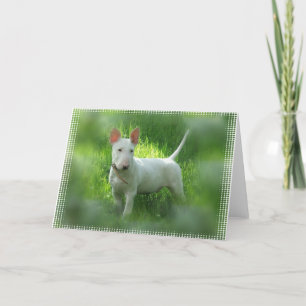 Carte de voeux Bull Terrier