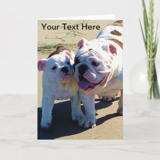 Carte de voeux Bulldogs anglaise