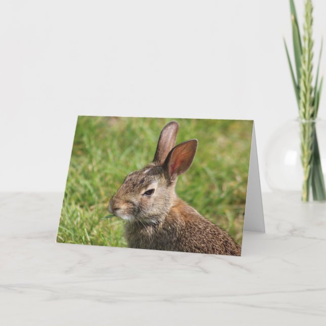 Carte de voeux Bunny (Devant)