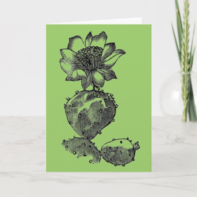 Carte de voeux Cactus (Devant)