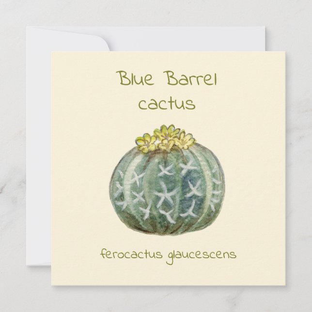 Carte de vœux cactus à baril bleu (Devant)