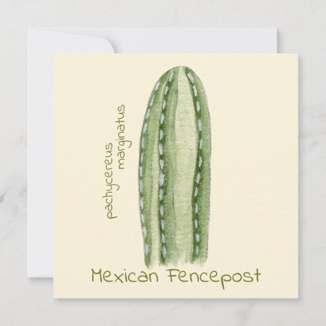 carte de vœux cactus poteau de clôture mexicain (Devant)