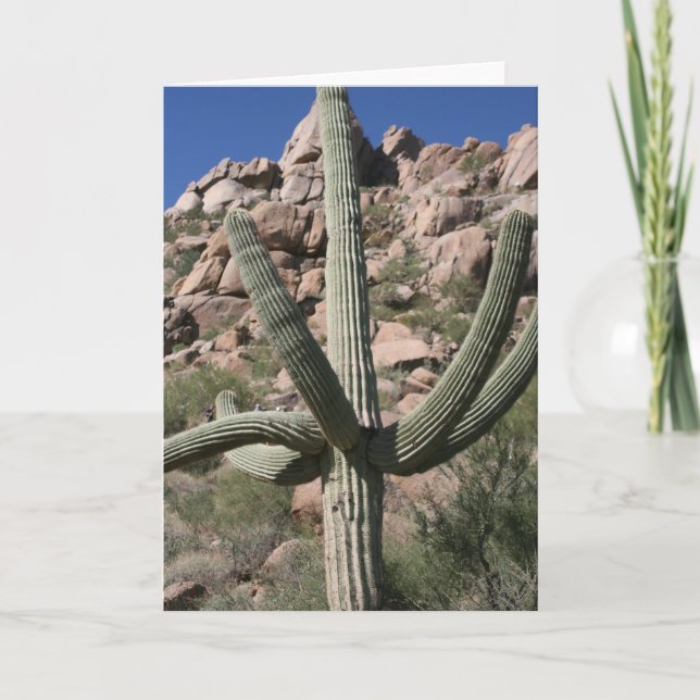 Carte de vœux Cactus Saguaro (Devant)