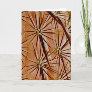 Carte de voeux Cactus Spines