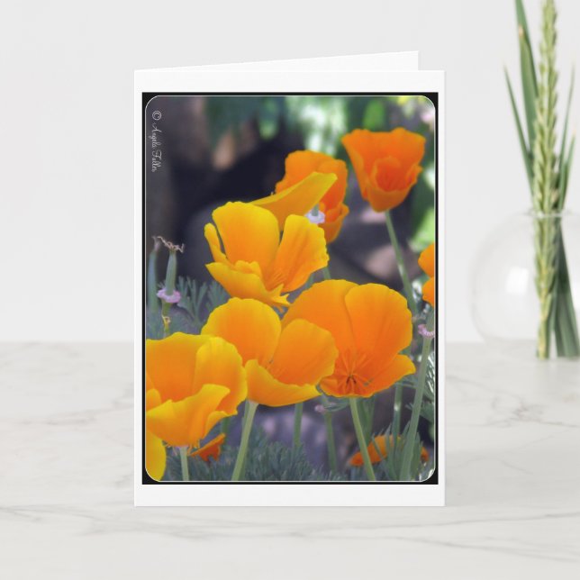 Carte de voeux California Poppies (Devant)