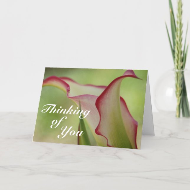Carte de voeux Calla Lily (Devant)