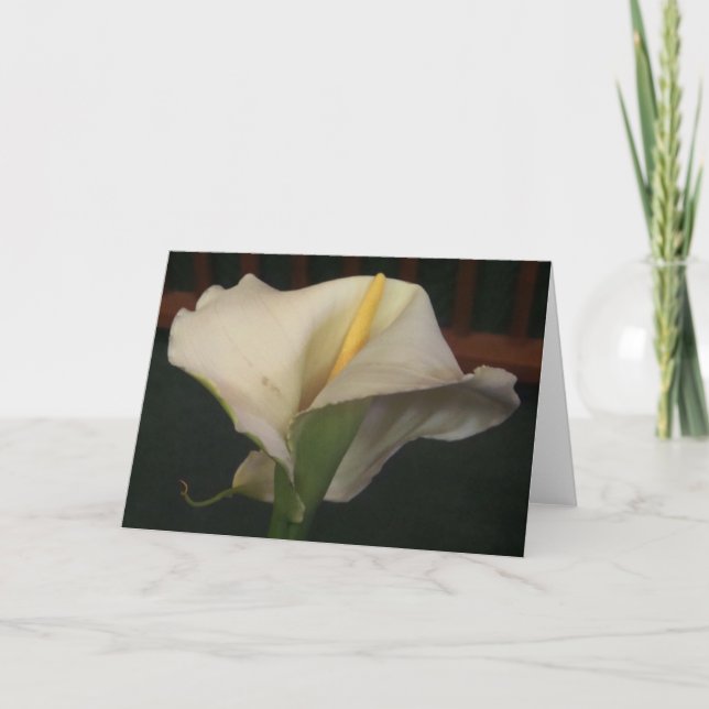 Carte de voeux Calla Lily (Devant)