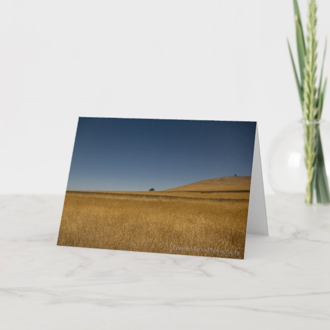 Carte de voeux campagne sèche (Devant)