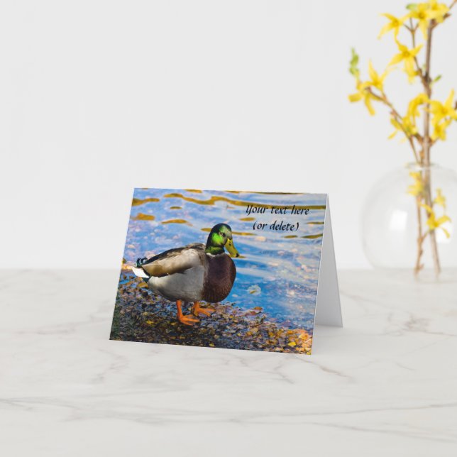 Carte de vœux Canard colvert (Fleur jaune)