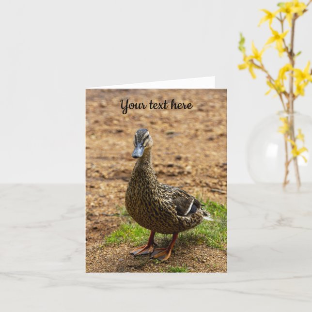 Carte de vœux Canard colvert (Fleur jaune)
