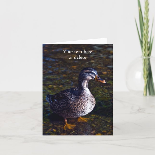 Carte de vœux Canard colvert (Devant)