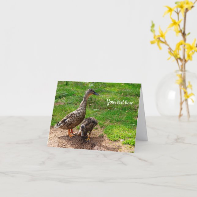 Carte de vœux Canard colvert et son caneton (Fleur jaune)