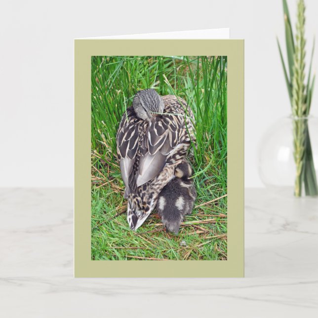 Carte de vœux cane mère et bébé (Devant)