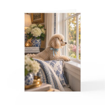 Carte de vœux Caniche miniature