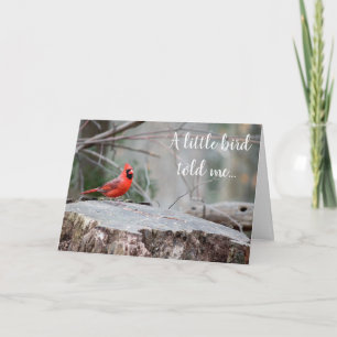 Carte de vœux Cardinal en forêt