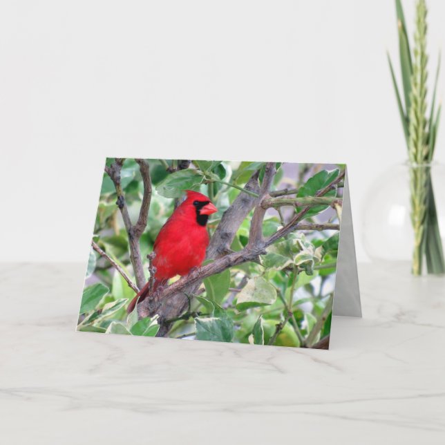 Carte de voeux cardinale masculine (Devant)