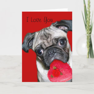 Carte de voeux carlin I Love You
