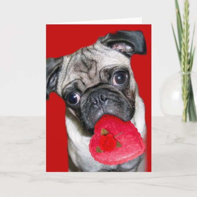 Carte de voeux carlin Saint Valentin (Devant)