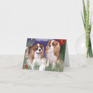 Carte de vœux, carte Cavalier King Charles Spaniel