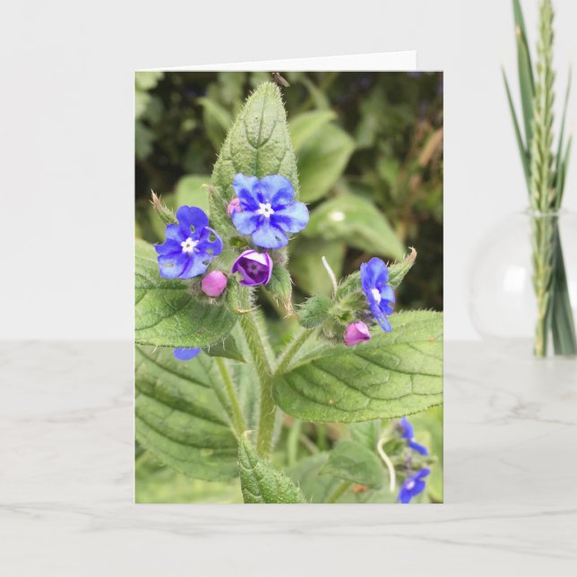 Carte de voeux, carte de note, florale, cartes en  (Devant)