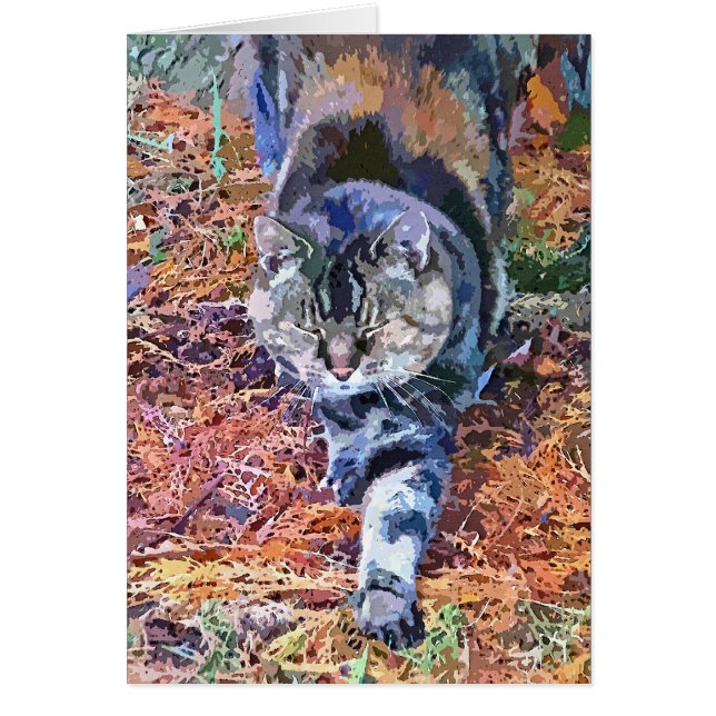 Carte de voeux CAT (Devant)