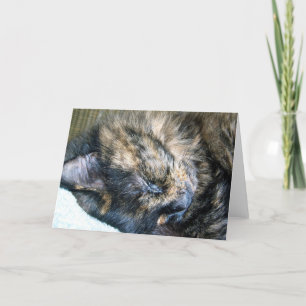 Carte de voeux Cat Nap