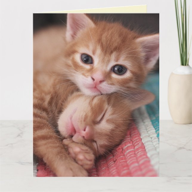 Carte de voeux CAT ROMANTIQUE LOVE SNUGLE (Devant)