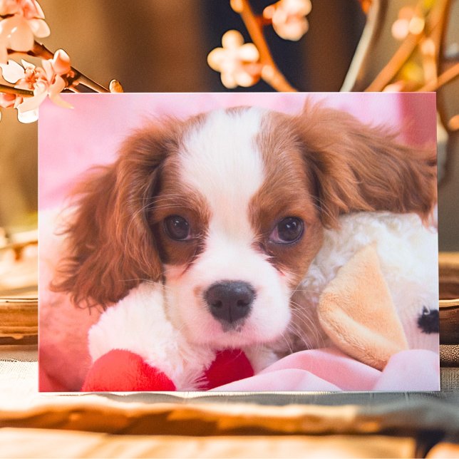 Carte de vœux Cavalier King Charles Chiot Mignon (Créateur téléchargé)