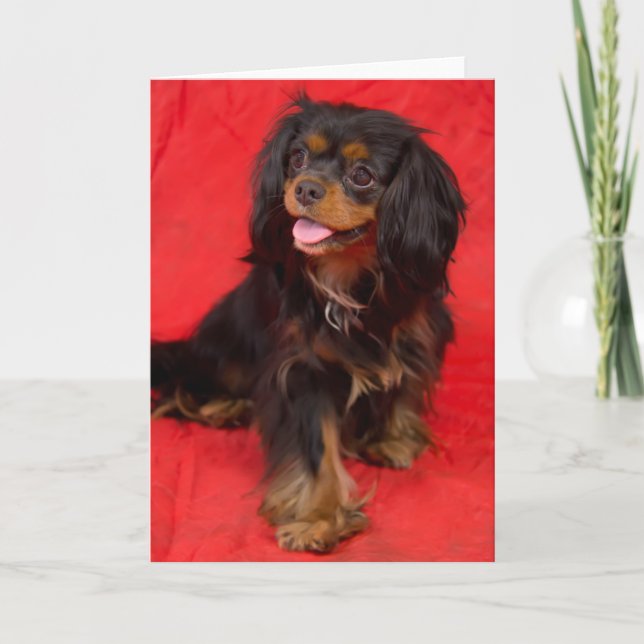 Carte de vœux Cavalier King Charles noir et feu (Devant)