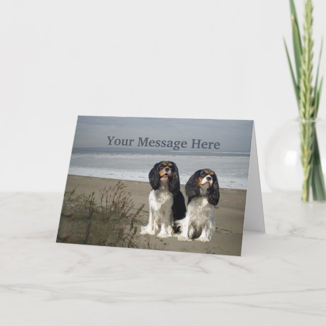 Carte de voeux Cavalier King Charles Spaniel (Devant)
