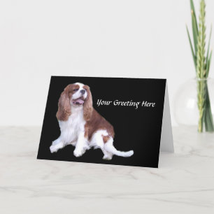 Carte de voeux Cavalier King Charles Spaniel