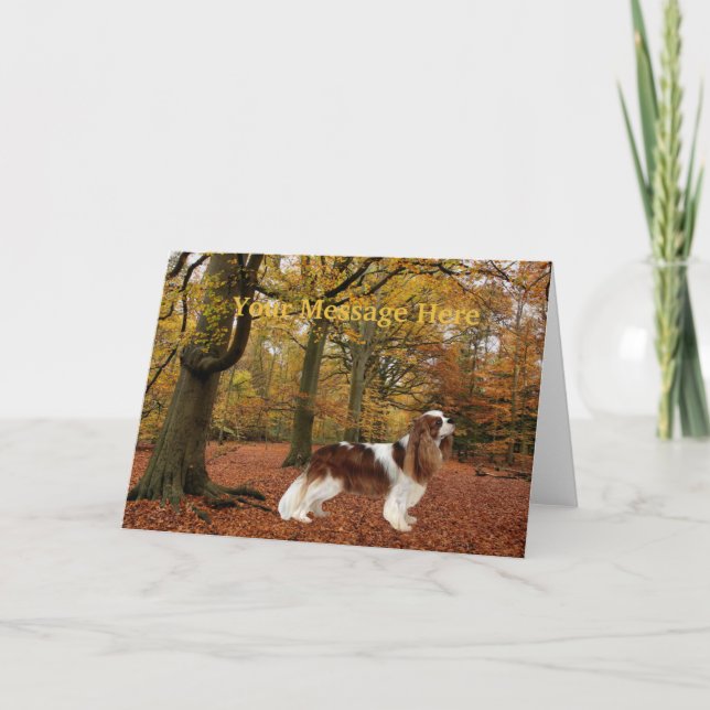 Carte de voeux Cavalier King Charles Spaniel (Devant)