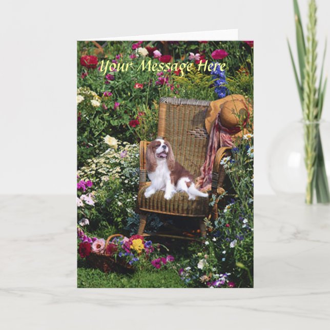 Carte de voeux Cavalier King Charles Spaniel (Devant)