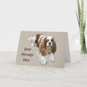 Carte de voeux Cavalier King Charles Spaniel
