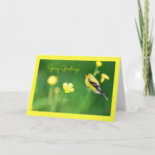 Carte de vœux Chardonneret jaune