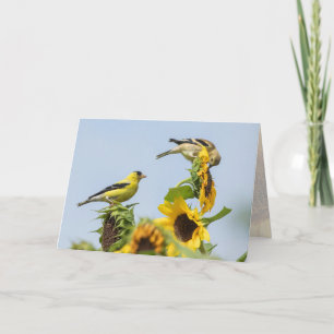 Carte de vœux Chardonnerets et Tournesols