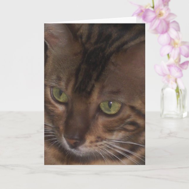 Carte de vœux - Chat Bengal (Orchidée)