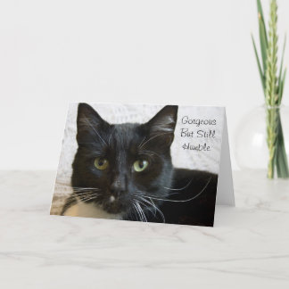 Carte de voeux : Chat magnifique