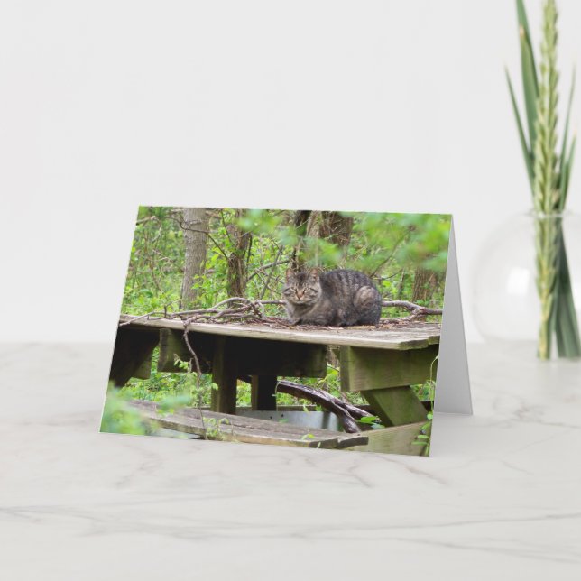 Carte de vœux Chat sauvage dans les bois (Devant)
