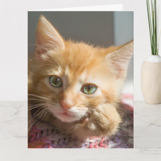 CARTE DE VOEUX CHATON GINGEMBRE ANNIVERSAIRE (Devant)