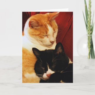 Carte de voeux : Chats de rêve doux