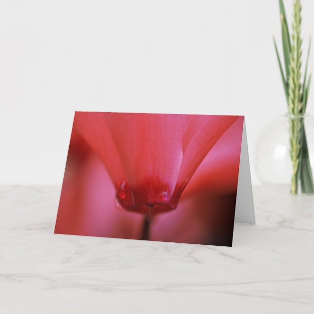 Carte de voeux chaude rose (Devant)